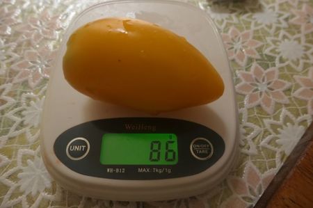 YELLOW PEPPER UKR  (18)