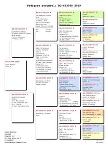 Kleine Ispas M (3)