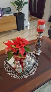 20191207_144810 (1)