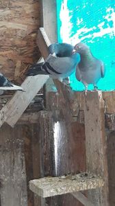 IMG-20191227-WA0005
