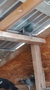 IMG-20191227-WA0008