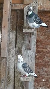 IMG-20191227-WA0043