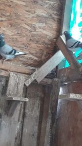 IMG-20191227-WA0045