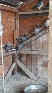 IMG-20191227-WA0047