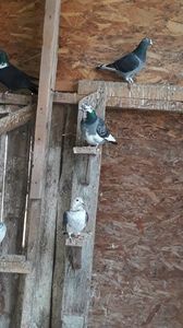 IMG-20191227-WA0046
