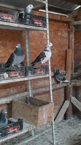 IMG-20191227-WA0048