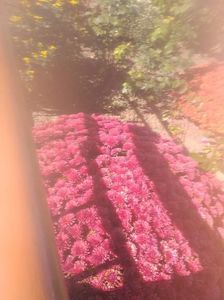 received_456373351640755
