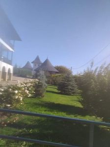 received_2401575120160814