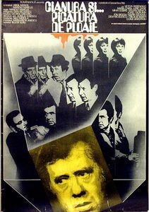 Cianura Si Picatura De Ploaie