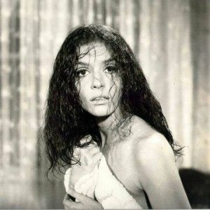 Rautaciosul Adolescent