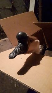 received_462133357809687