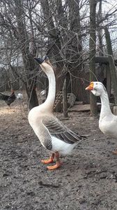 VideoCapture_20200111-181720