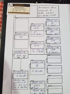 Pedigree Femela DV 2014