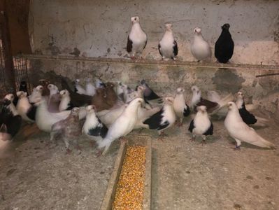 DCE2DFD5-8B40-4CBC-BF7E-234DC430C3DD