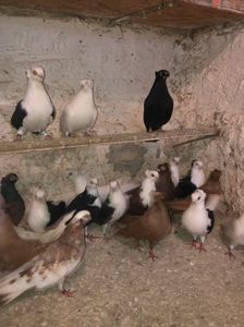 79EB979A-B908-4888-99E3-37F9E20845E7