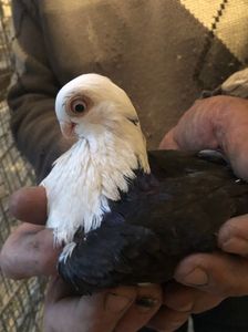 2104D4F1-48B1-46DA-BD3F-C44895AB217D