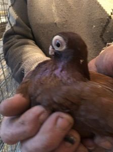 DE90187E-13DD-4ED4-BC58-68EAD8C75C87