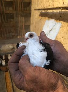 858434CD-9891-4B40-ADC7-CC0962160B83