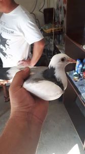 received_407472756620517