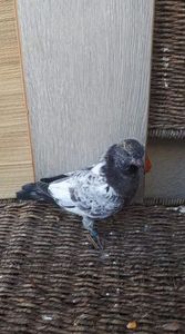 received_316931832326719