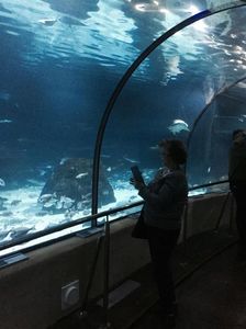 IMG-20200125-WA0016