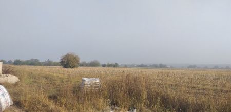 IMG-20191020-WA0019