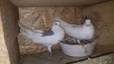 received_144382589916064