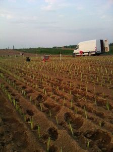 Photo0046