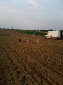 Photo0047
