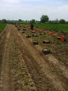Photo0001