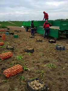 Photo0002