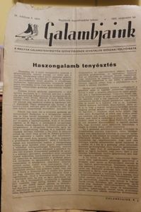1962  SZEPTEMBER