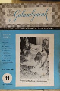 1975  NOVEMBER