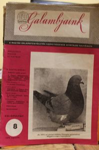 1979  AUGUSZTUS