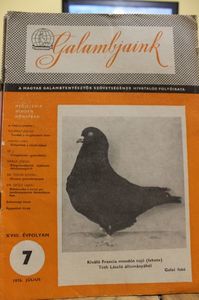 1976  JULIUS