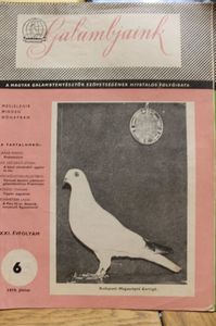 1979  JUNIUS