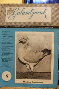 1979  MAJUS