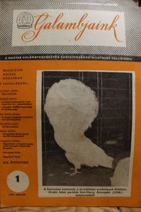 1978 JANUAR