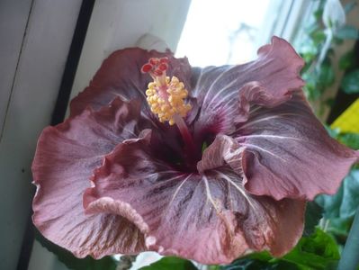 P1430330