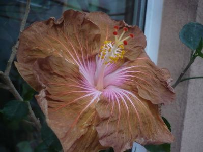 P1430345