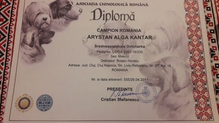 KANTAR