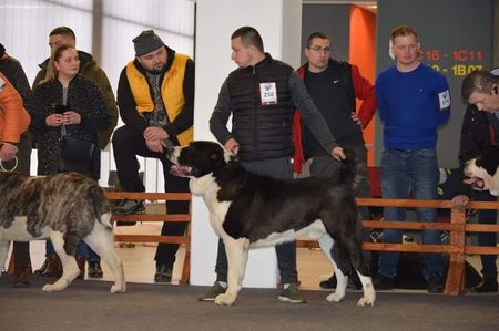 Expo Cluj Napoca