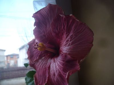 P1430366