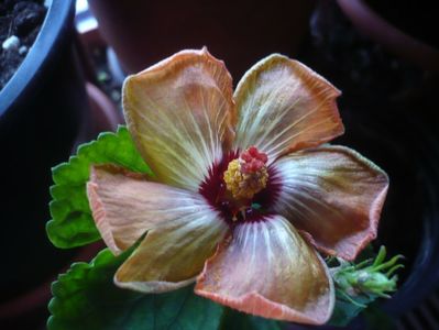 P1430355