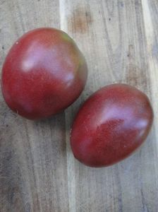 Purple Ucraina