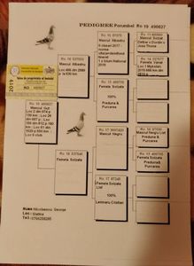 IMG-20200307-WA0017