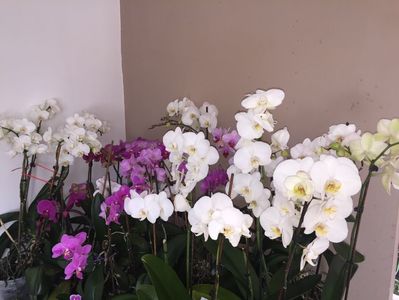 23D7E35A-2D6E-4FA2-BA70-31DBD8E48CD6