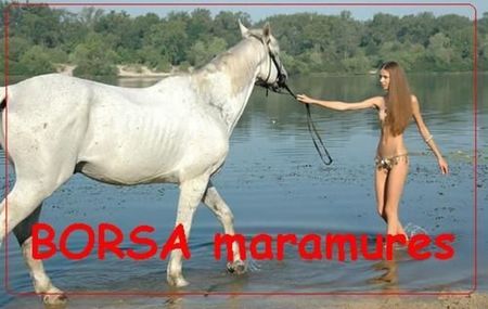 PETA ACTIVIST; asa se repara fondul de animale - al muntilor rodna
