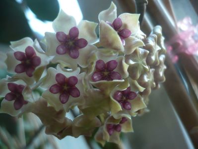 P1430394