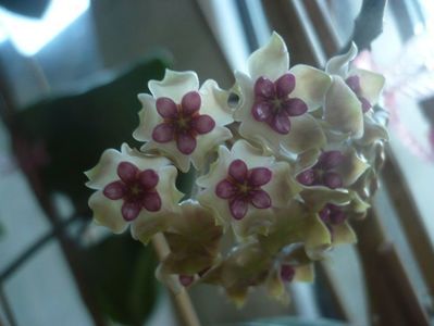 P1430399
